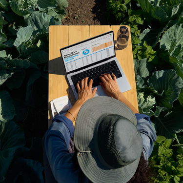 Birds-eye view of a woman in a wide-brim hat working on a business presentation on a MacBook, sitting at a table in a garden.